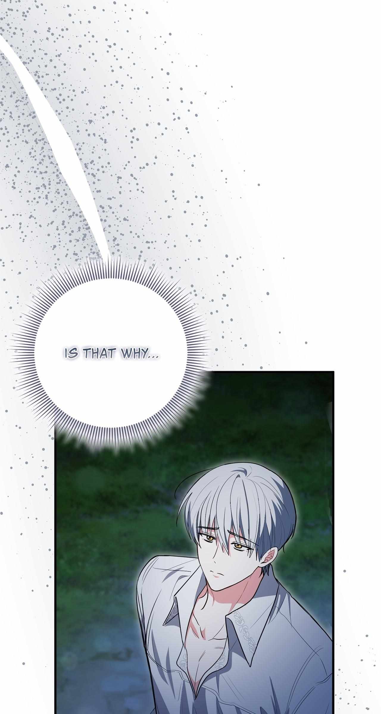The Beloved Gardener of the World Tree Chapter 35 page 16 - 