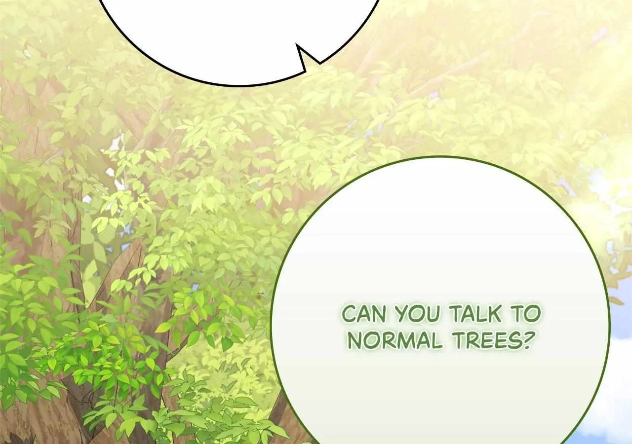 The Beloved Gardener of the World Tree Chapter 6 page 159 - 