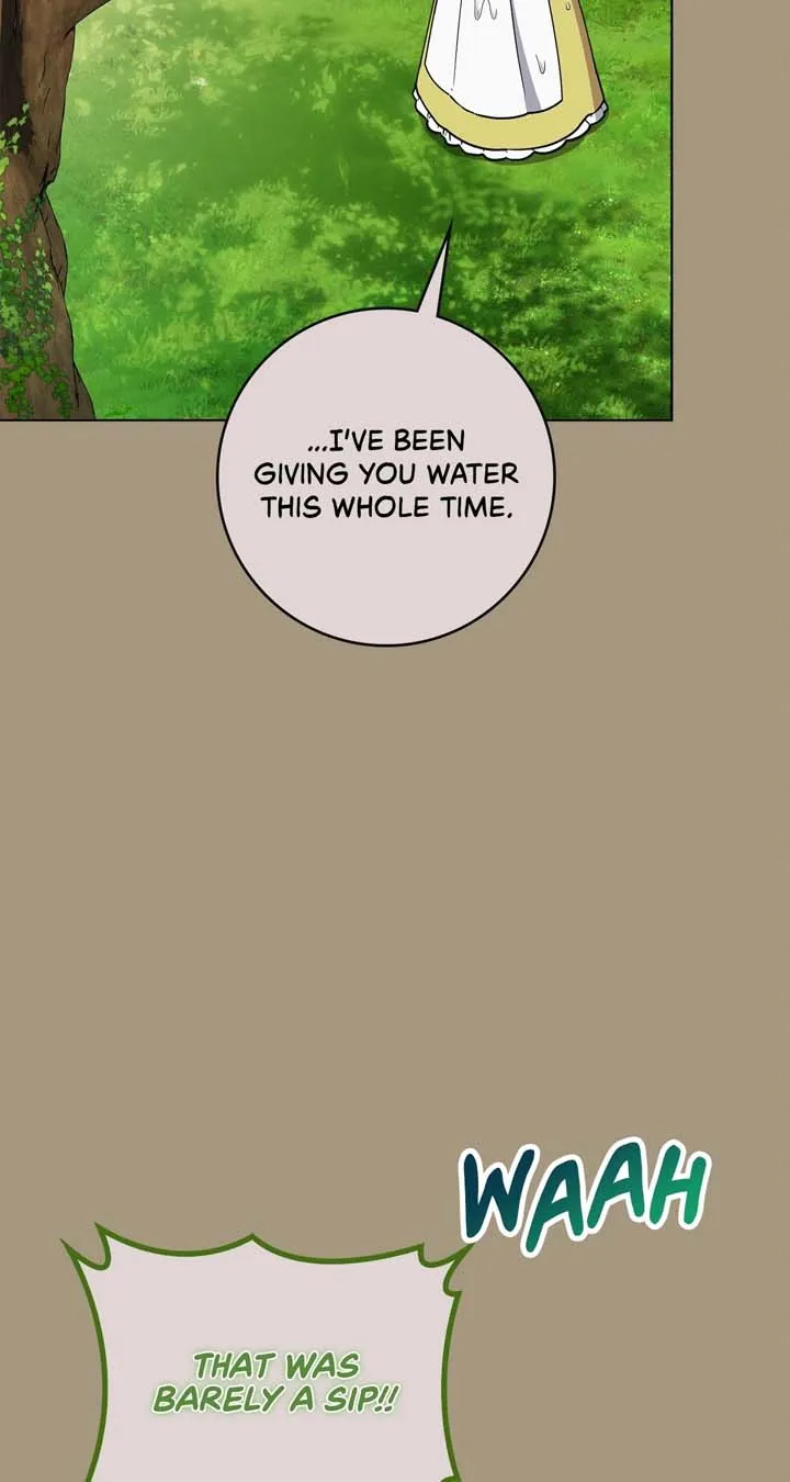 The Beloved Gardener of the World Tree Chapter 7 page 13 - 