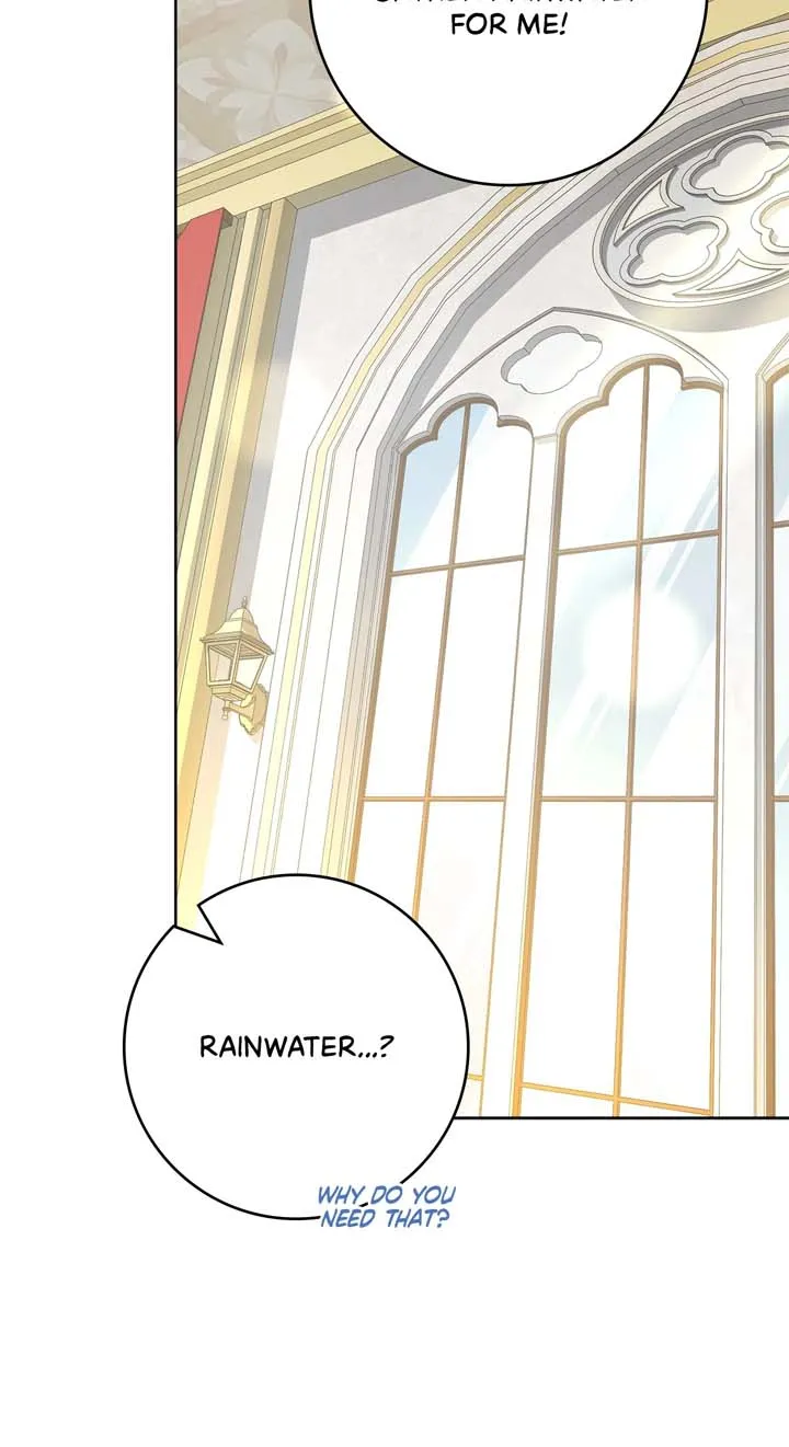The Beloved Gardener of the World Tree Chapter 7 page 69 - 