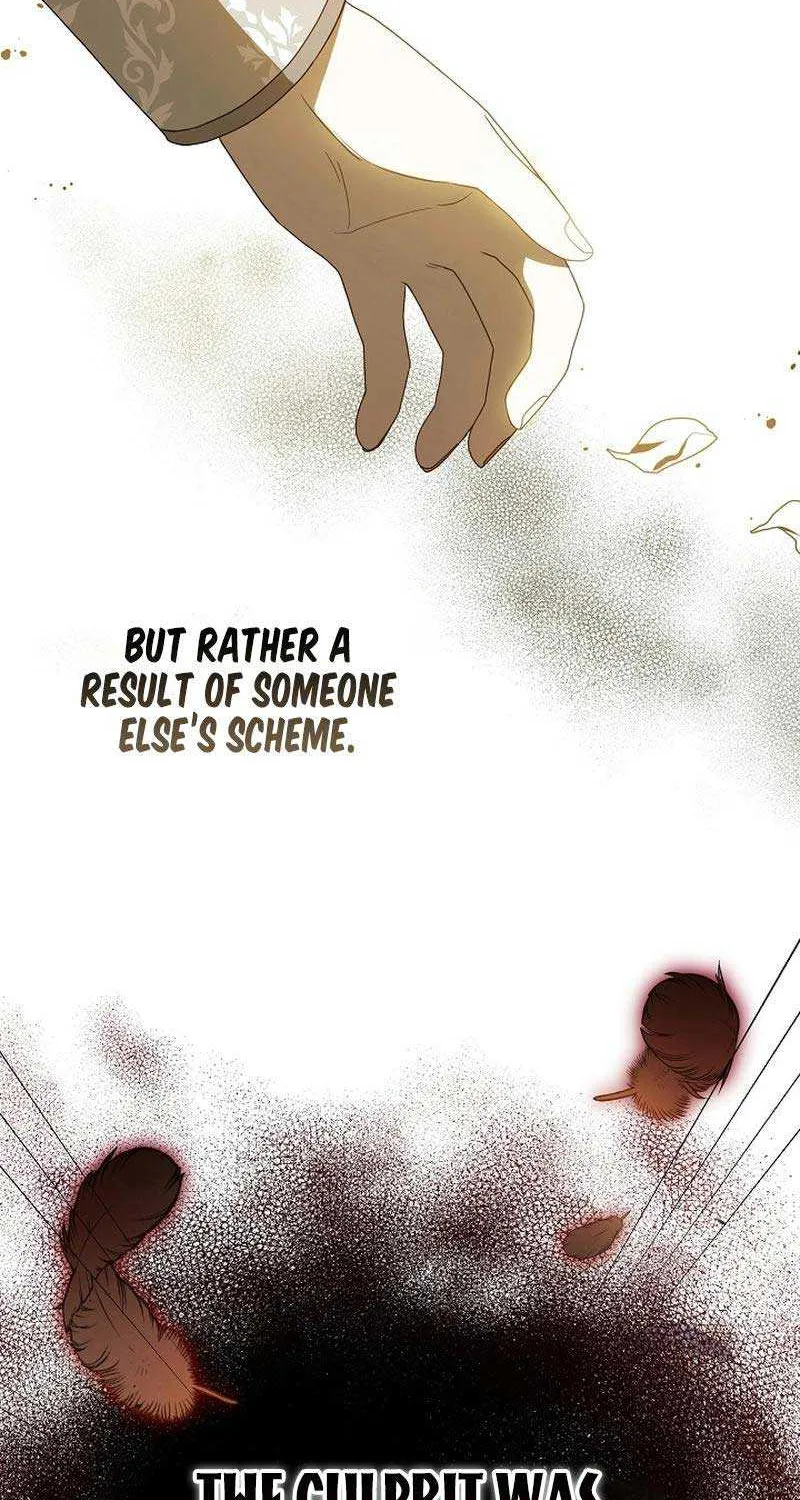 The Beloved New Daughter-in-law Of The Wolf Mansion Chapter 1 page 19 - 