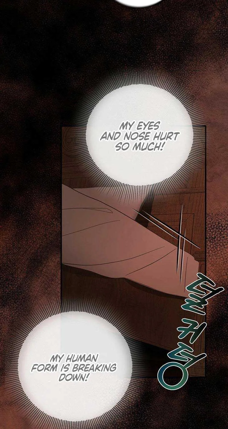 The Beloved New Daughter-in-law Of The Wolf Mansion Chapter 1 page 61 - 
