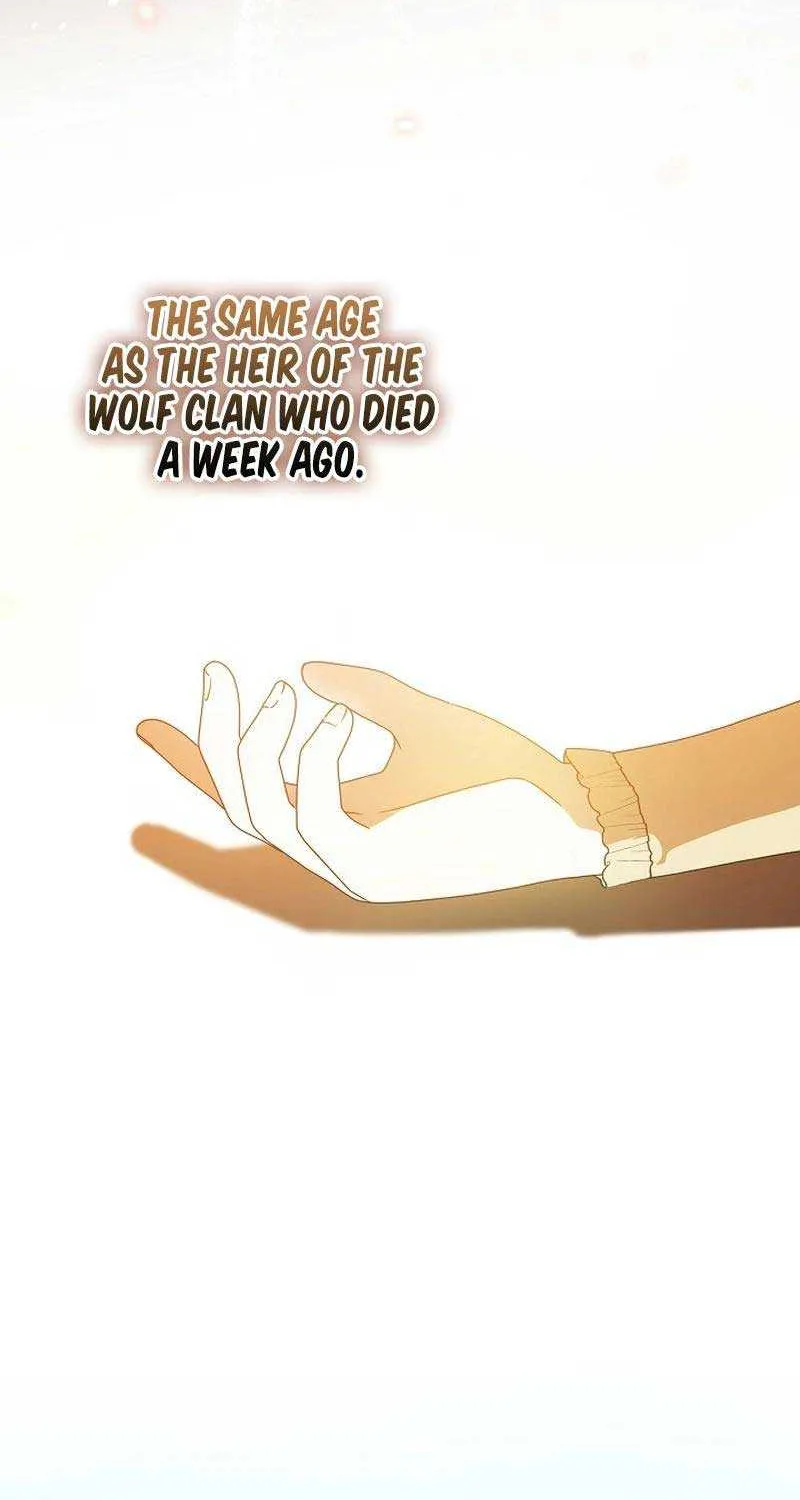 The Beloved New Daughter-in-law Of The Wolf Mansion Chapter 1 page 70 - 