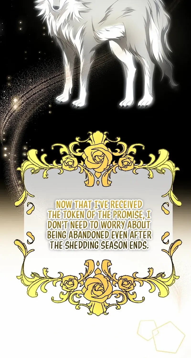 The Beloved New Daughter-in-law Of The Wolf Mansion Chapter 10 page 46 - 
