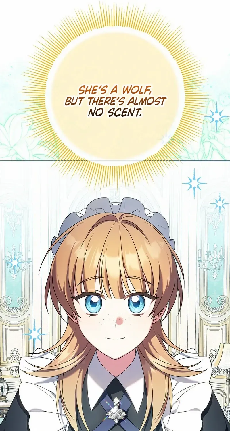The Beloved New Daughter-in-law Of The Wolf Mansion Chapter 10 page 61 - 