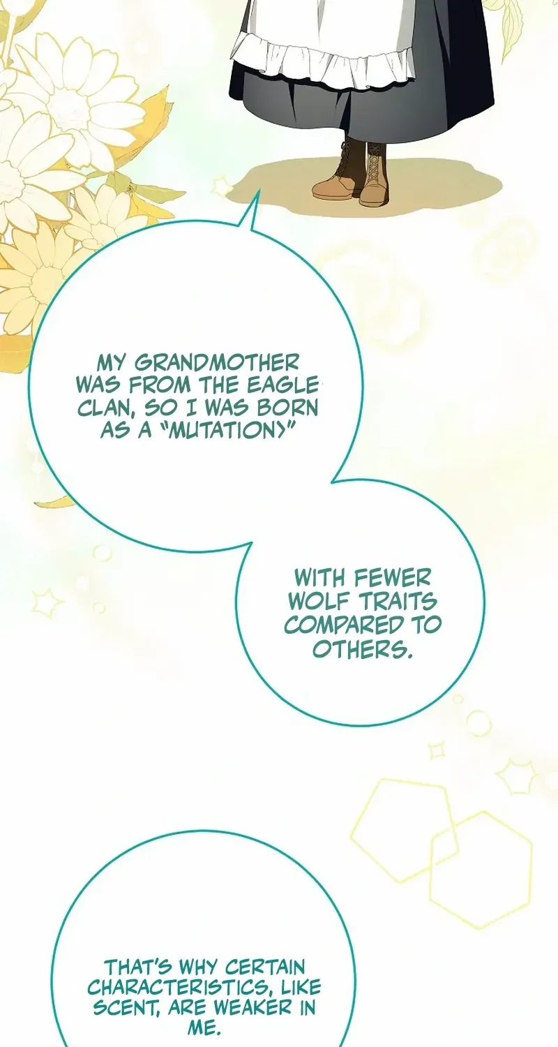 The Beloved New Daughter-in-law Of The Wolf Mansion Chapter 10 page 68 - 