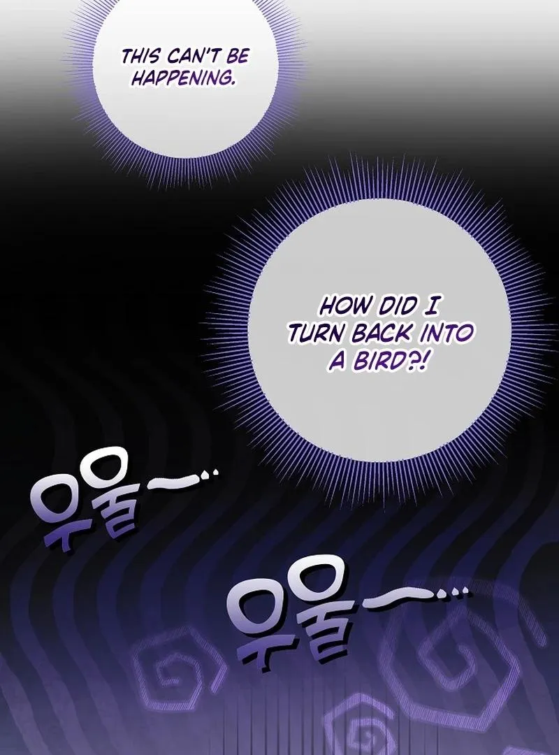 The Beloved New Daughter-in-law Of The Wolf Mansion Chapter 12 page 13 - 