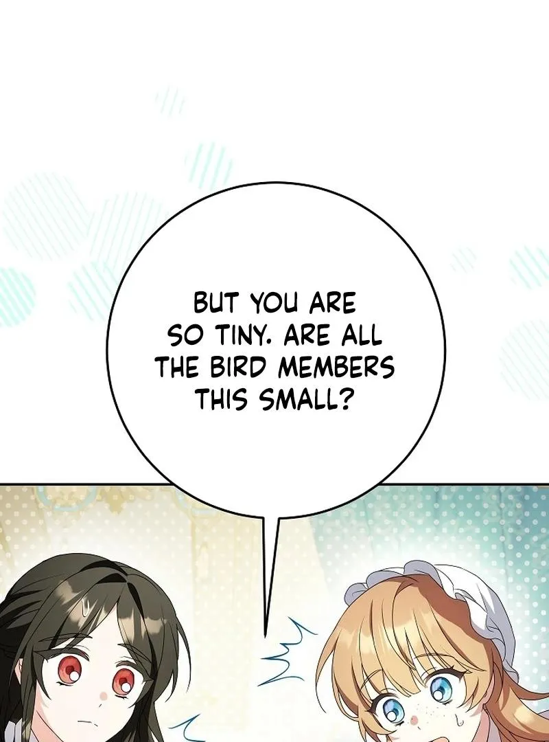 The Beloved New Daughter-in-law Of The Wolf Mansion Chapter 12 page 19 - 