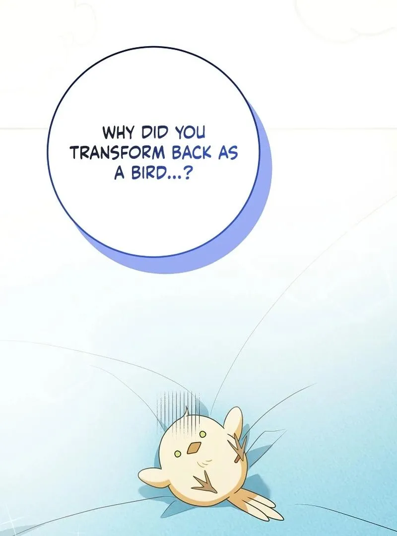 The Beloved New Daughter-in-law Of The Wolf Mansion Chapter 12 page 5 - 