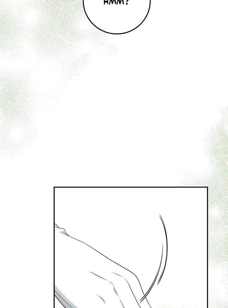 The Beloved New Daughter-in-law Of The Wolf Mansion Chapter 12 page 67 - 