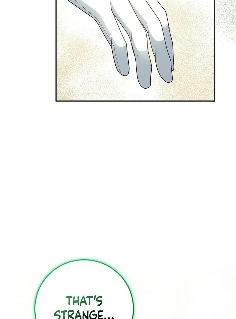 The Beloved New Daughter-in-law Of The Wolf Mansion Chapter 12 page 68 - 
