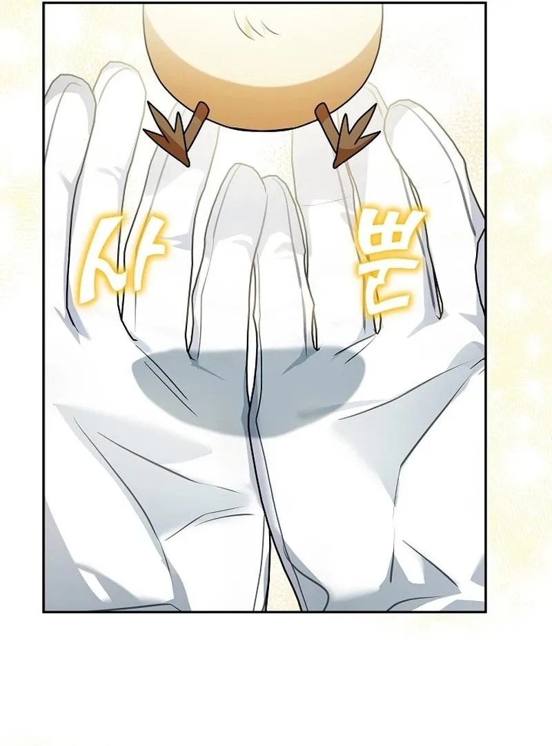 The Beloved New Daughter-in-law Of The Wolf Mansion Chapter 12 page 80 - 