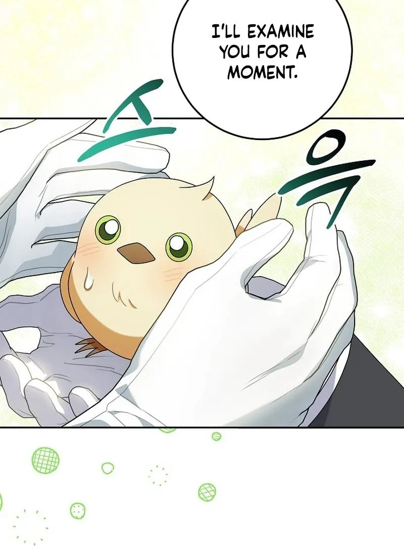 The Beloved New Daughter-in-law Of The Wolf Mansion Chapter 12 page 95 - 