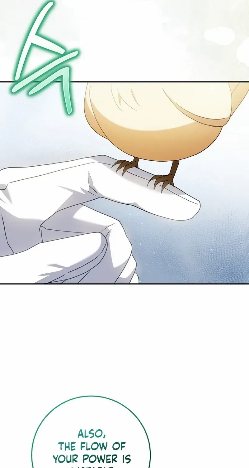 The Beloved New Daughter-in-law Of The Wolf Mansion Chapter 13 page 13 - 