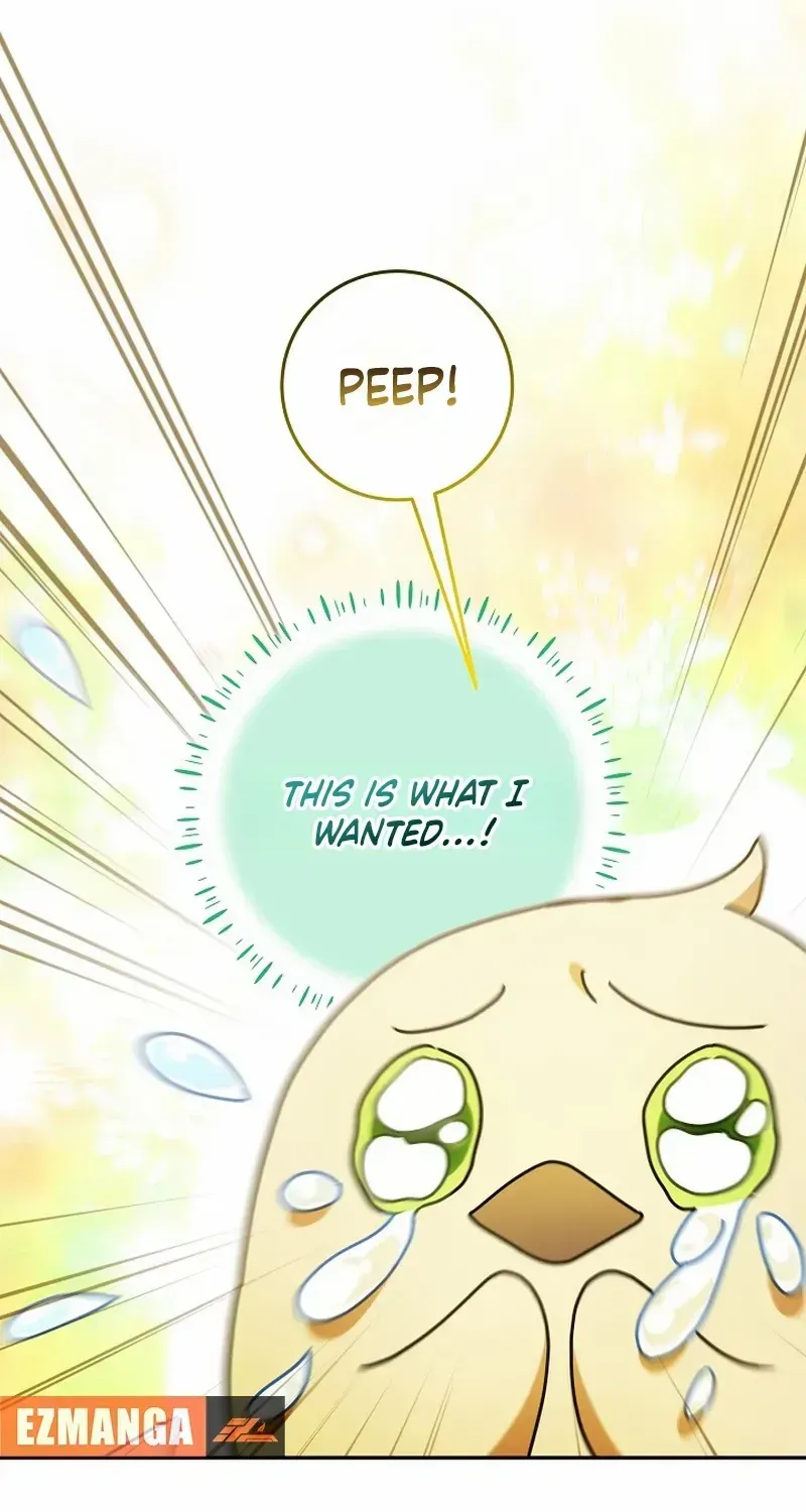 The Beloved New Daughter-in-law Of The Wolf Mansion Chapter 13 page 45 - 