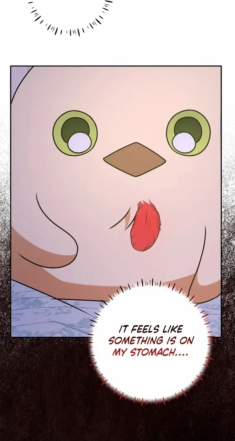 The Beloved New Daughter-in-law Of The Wolf Mansion Chapter 13 page 55 - 
