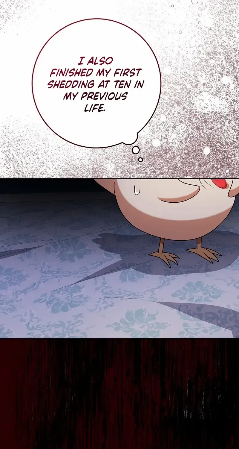 The Beloved New Daughter-in-law Of The Wolf Mansion Chapter 13 page 60 - 
