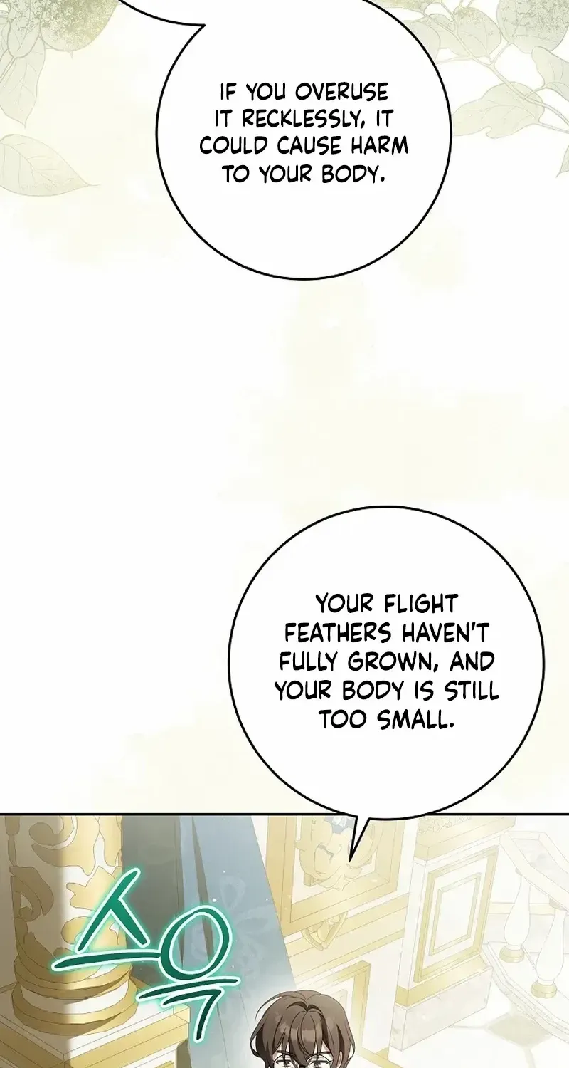 The Beloved New Daughter-in-law Of The Wolf Mansion Chapter 13 page 10 - 