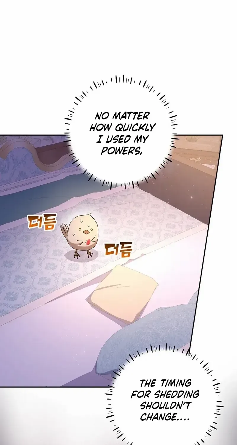 The Beloved New Daughter-in-law Of The Wolf Mansion Chapter 13 page 100 - 