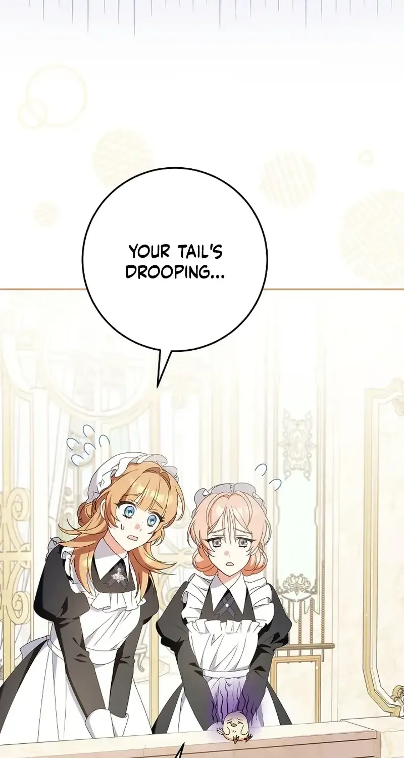 The Beloved New Daughter-in-law Of The Wolf Mansion Chapter 15 page 2 - 