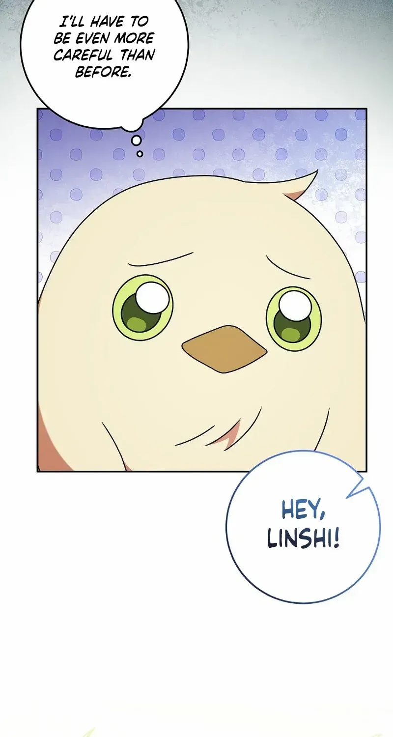The Beloved New Daughter-in-law Of The Wolf Mansion Chapter 15 page 11 - 