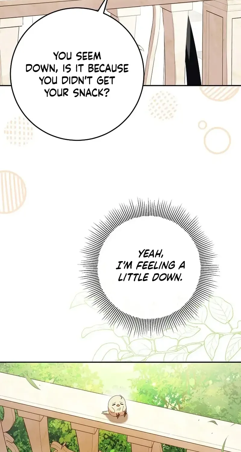 The Beloved New Daughter-in-law Of The Wolf Mansion Chapter 15 page 3 - 