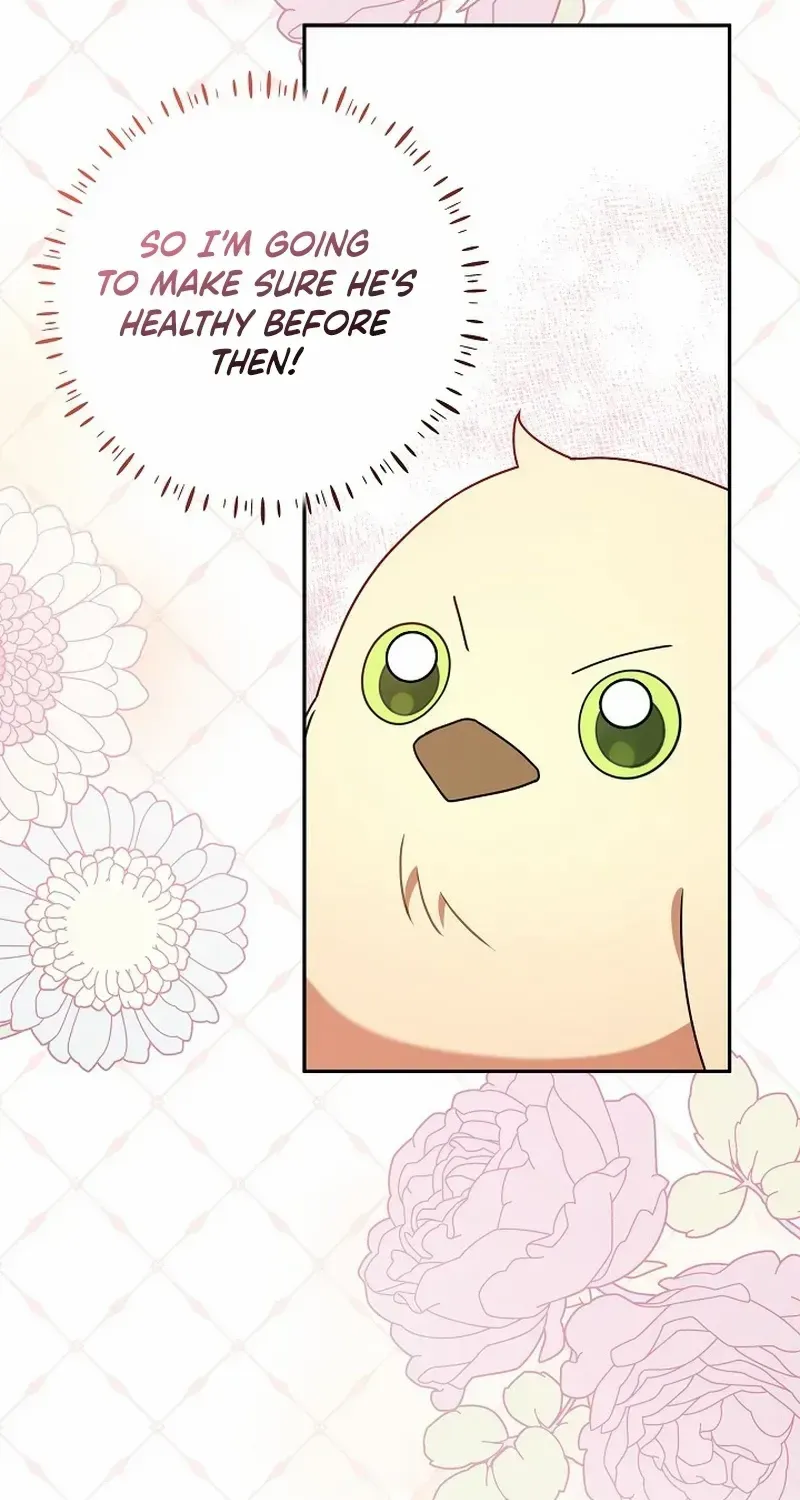 The Beloved New Daughter-in-law Of The Wolf Mansion Chapter 16 page 27 - 