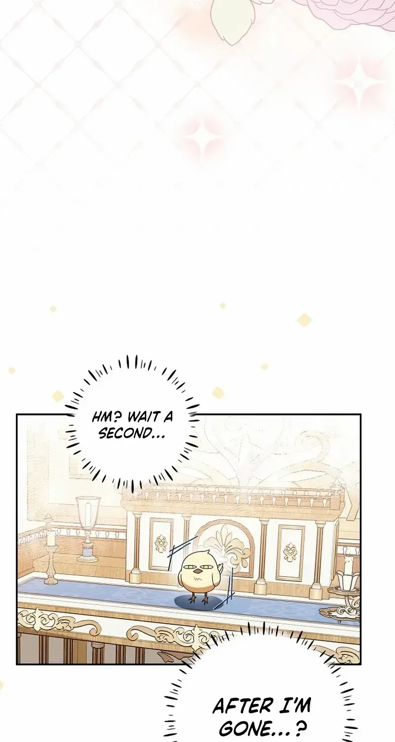 The Beloved New Daughter-in-law Of The Wolf Mansion Chapter 16 page 28 - 