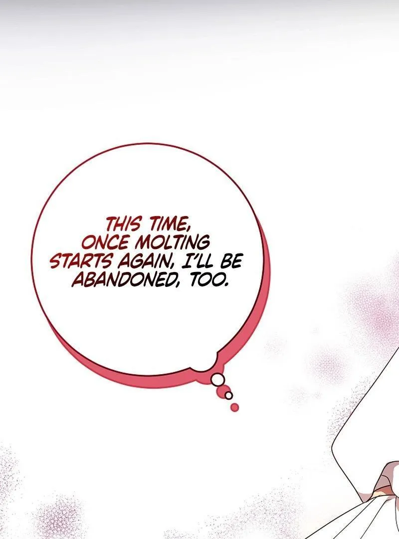 The Beloved New Daughter-in-law Of The Wolf Mansion Chapter 2 page 103 - 