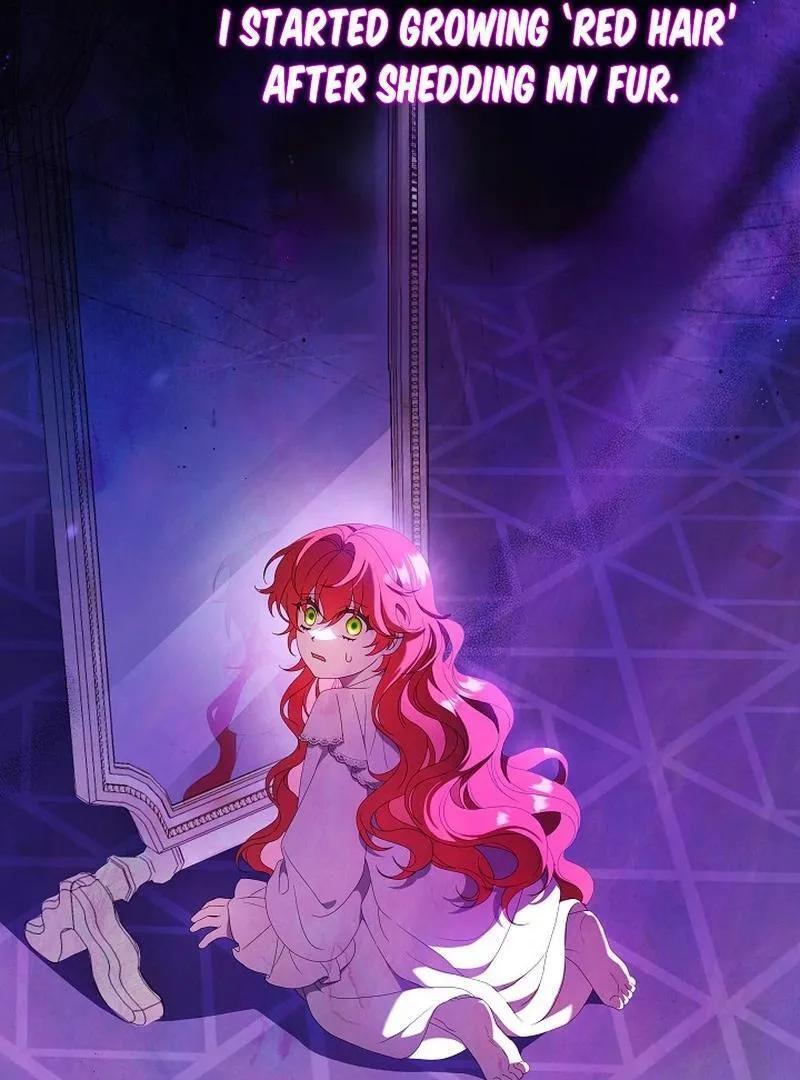 The Beloved New Daughter-in-law Of The Wolf Mansion Chapter 2 page 94 - 