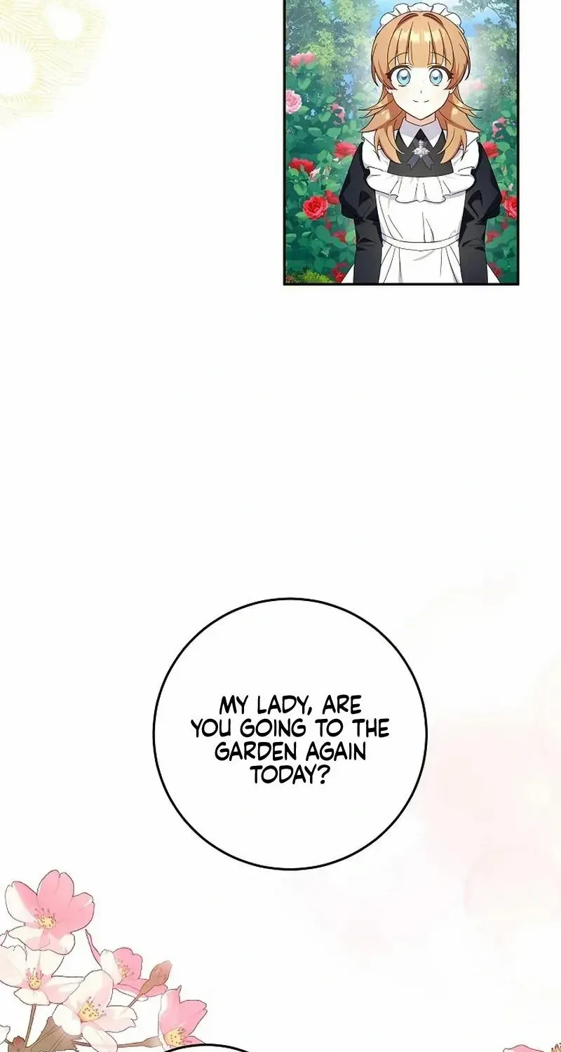 The Beloved New Daughter-in-law Of The Wolf Mansion Chapter 22 page 33 - 