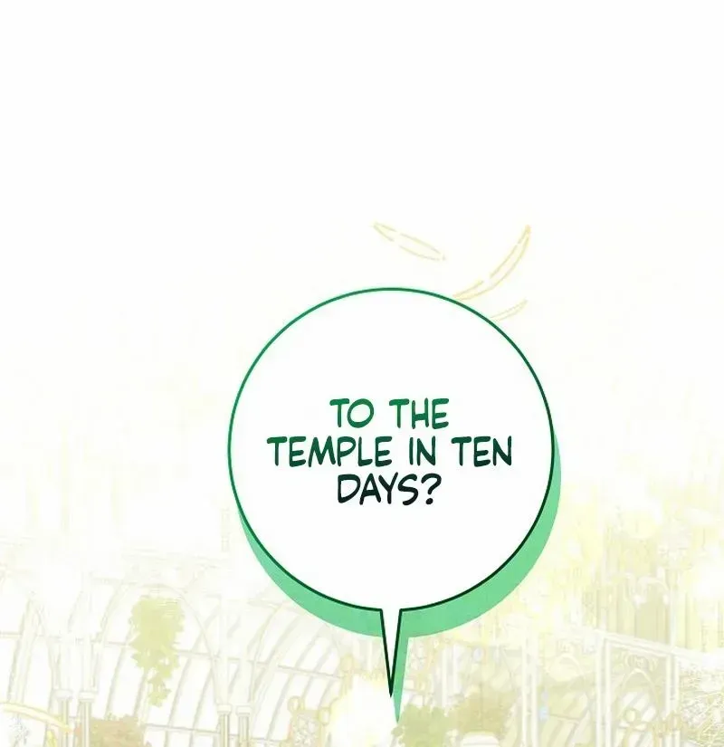The Beloved New Daughter-in-law Of The Wolf Mansion Chapter 24 page 29 - 