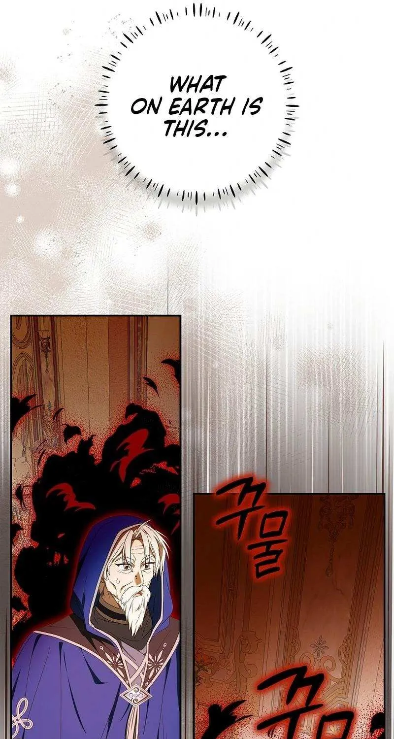 The Beloved New Daughter-in-law Of The Wolf Mansion Chapter 25 page 25 - 
