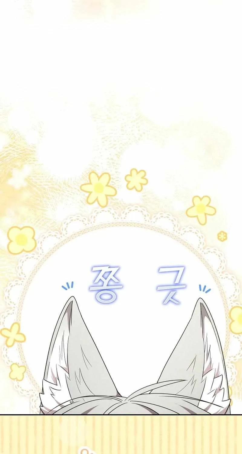 The Beloved New Daughter-in-law Of The Wolf Mansion Chapter 27 page 5 - 