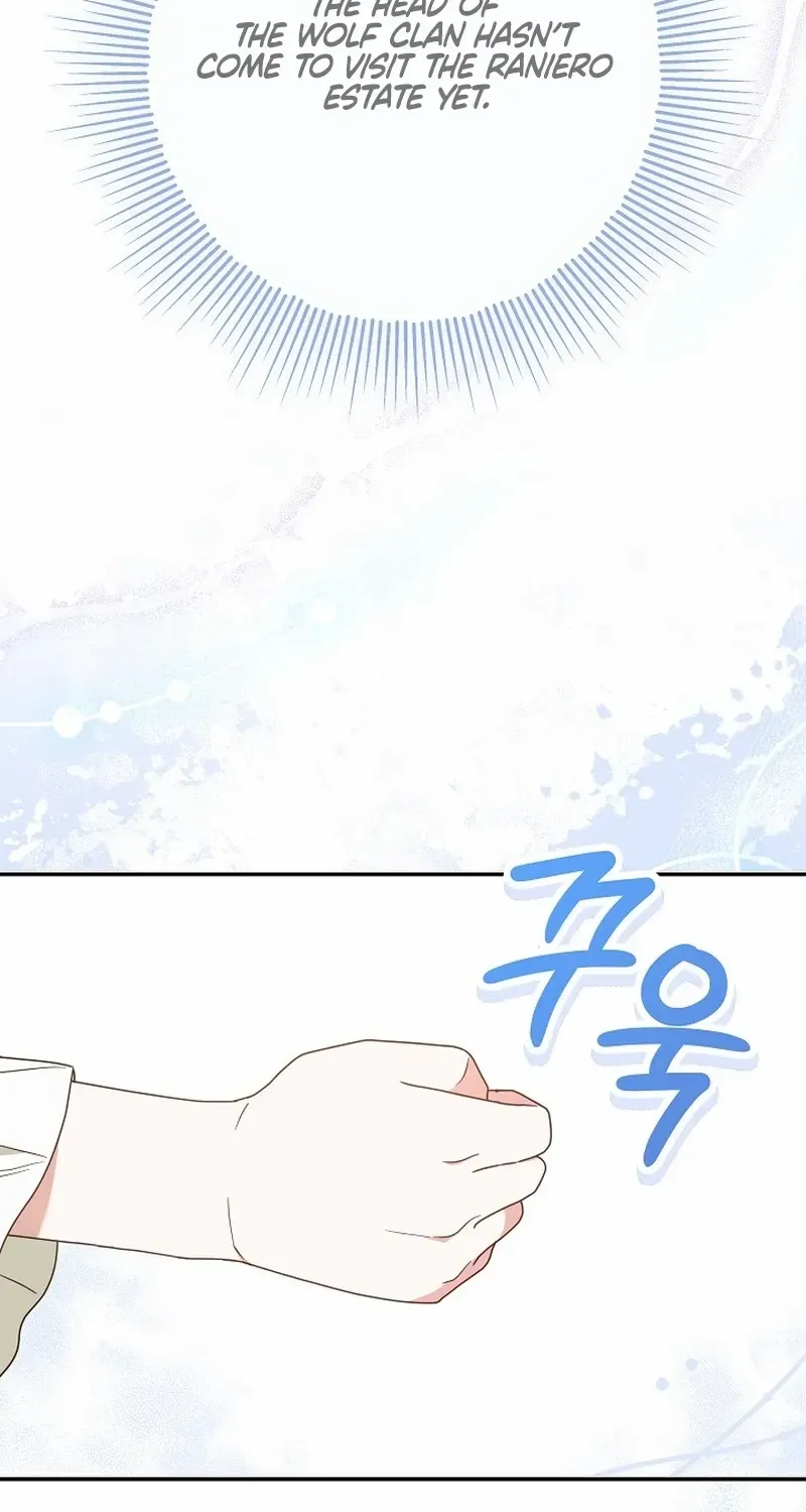 The Beloved New Daughter-in-law Of The Wolf Mansion Chapter 3 page 3 - 