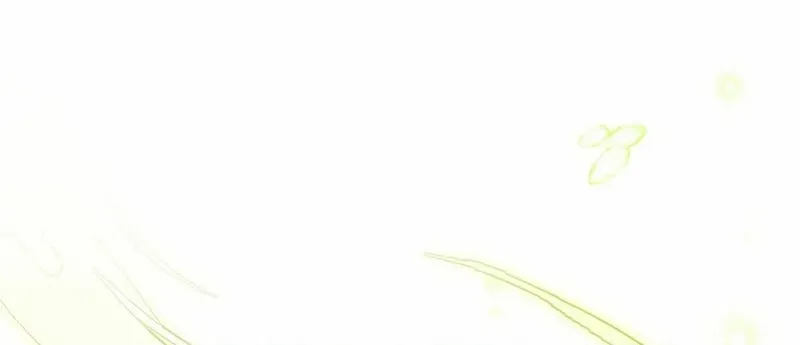 The Beloved New Daughter-in-law Of The Wolf Mansion Chapter 3 page 37 - 