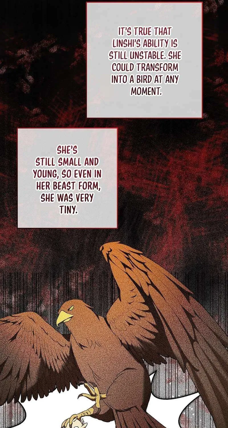 The Beloved New Daughter-in-law Of The Wolf Mansion Chapter 32 page 64 - 