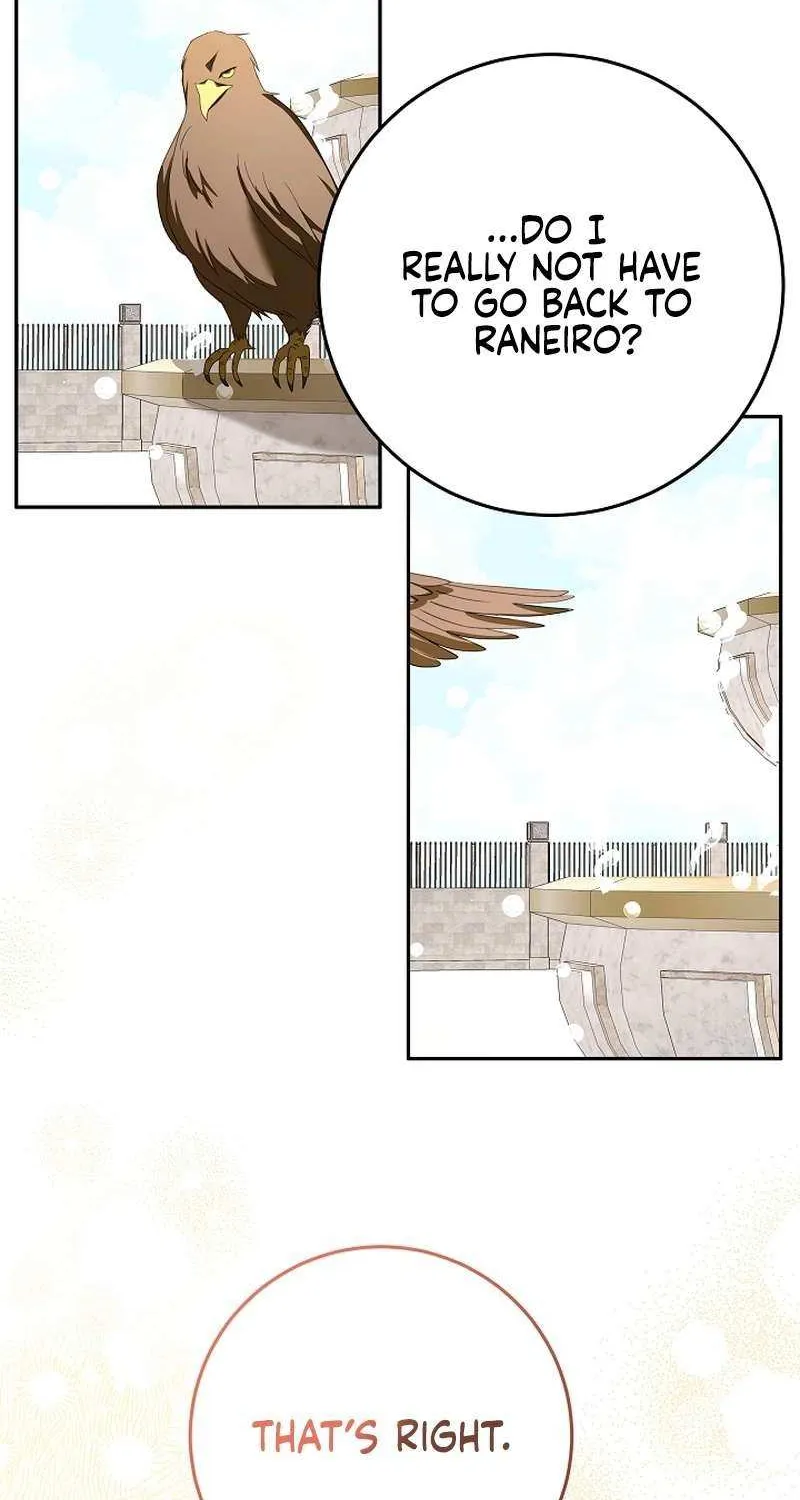 The Beloved New Daughter-in-law Of The Wolf Mansion Chapter 32 page 84 - 