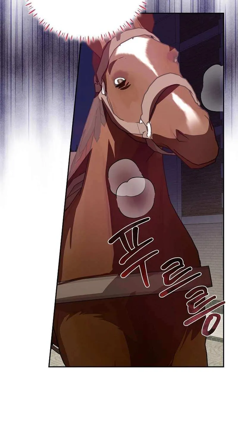 The Beloved New Daughter-in-law Of The Wolf Mansion Chapter 33 page 66 - 