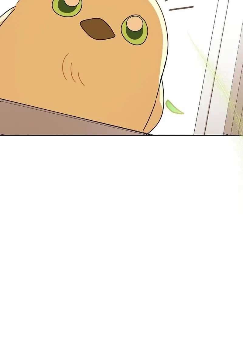 The Beloved New Daughter-in-law Of The Wolf Mansion Chapter 4 page 12 - 