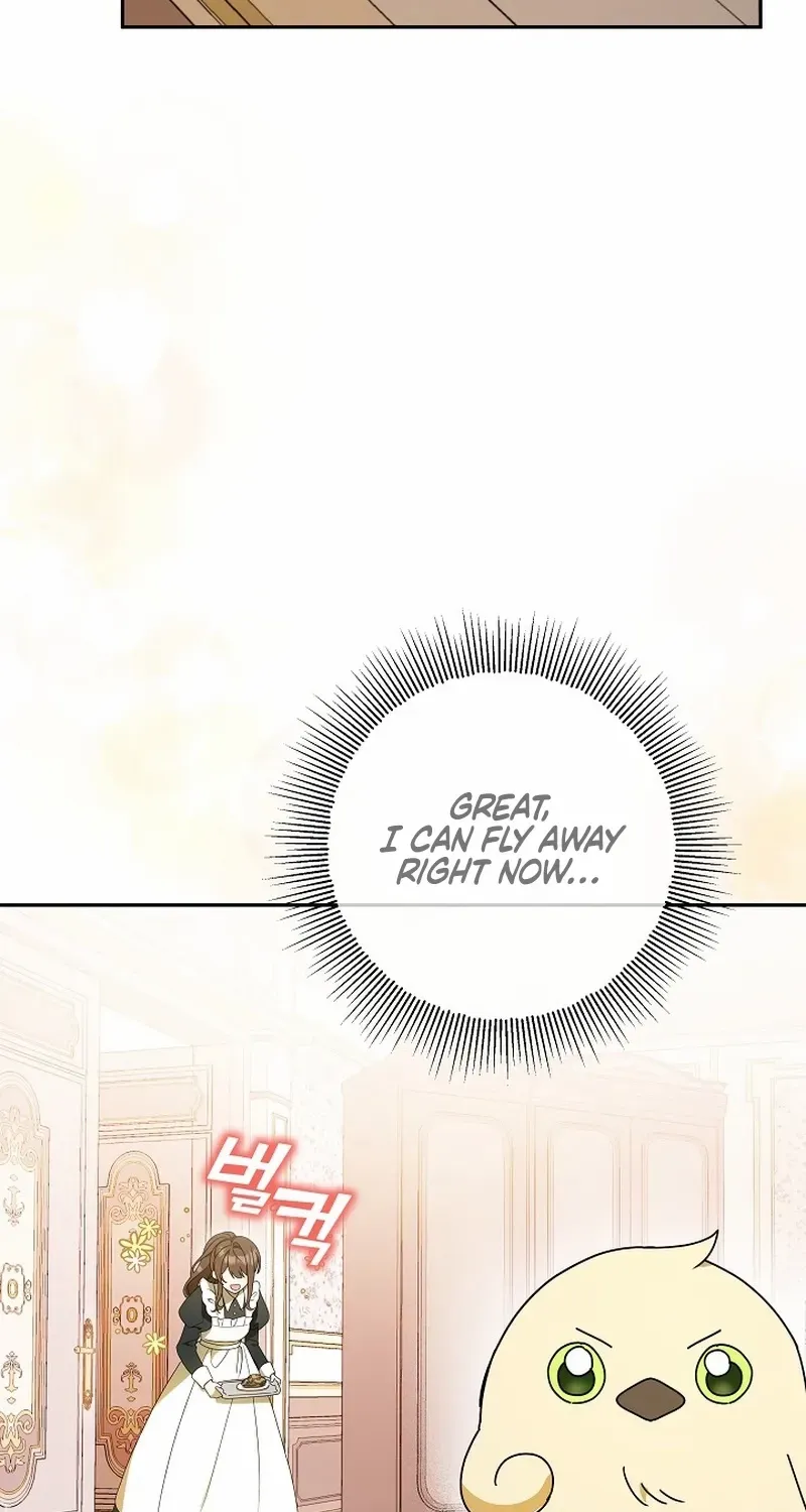 The Beloved New Daughter-in-law Of The Wolf Mansion Chapter 4 page 15 - 