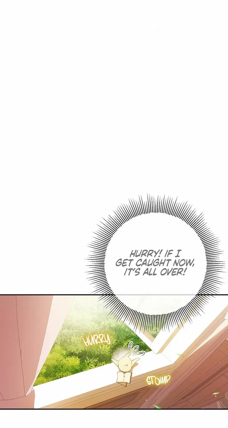 The Beloved New Daughter-in-law Of The Wolf Mansion Chapter 4 page 18 - 