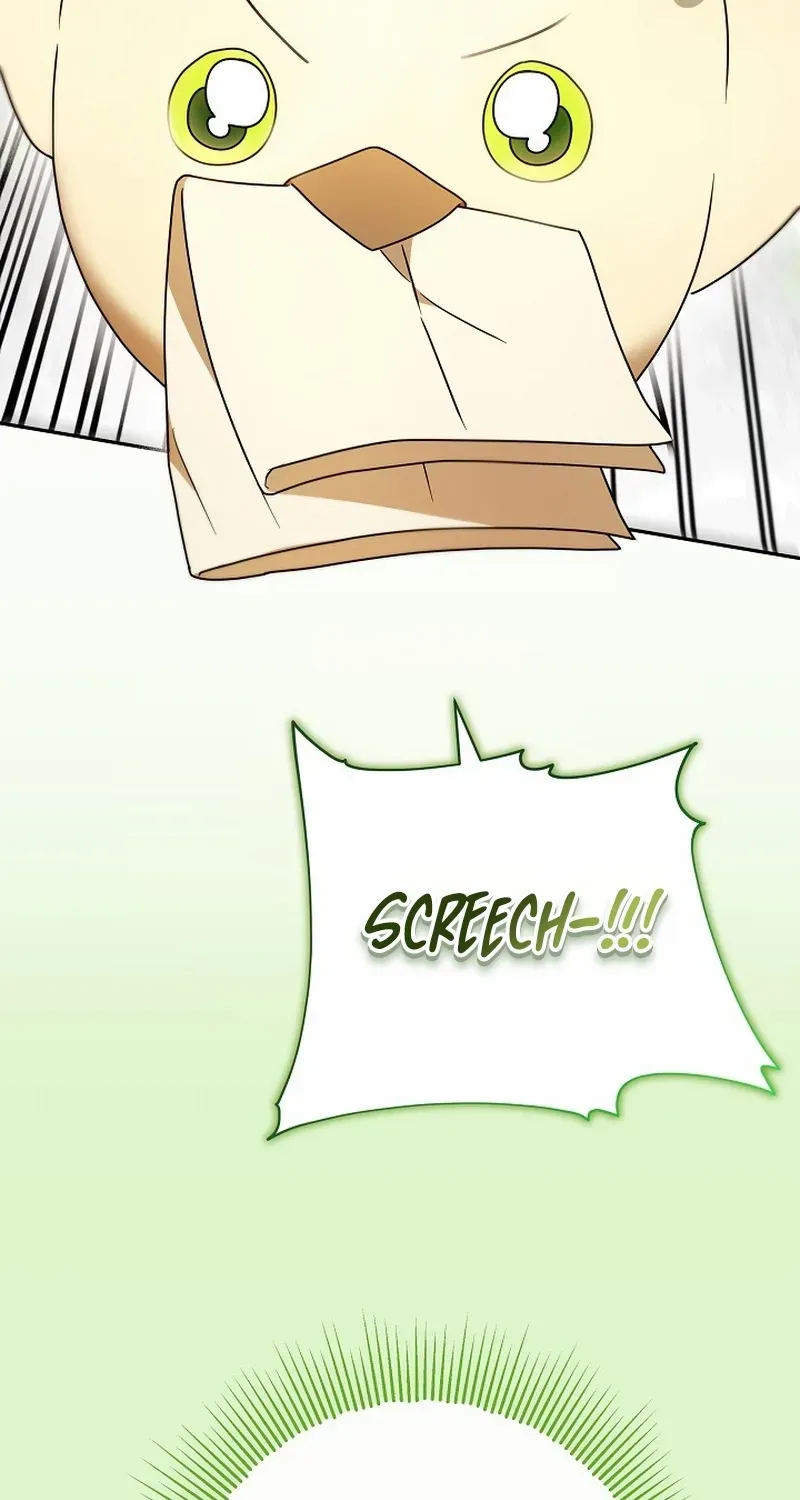 The Beloved New Daughter-in-law Of The Wolf Mansion Chapter 4 page 23 - 