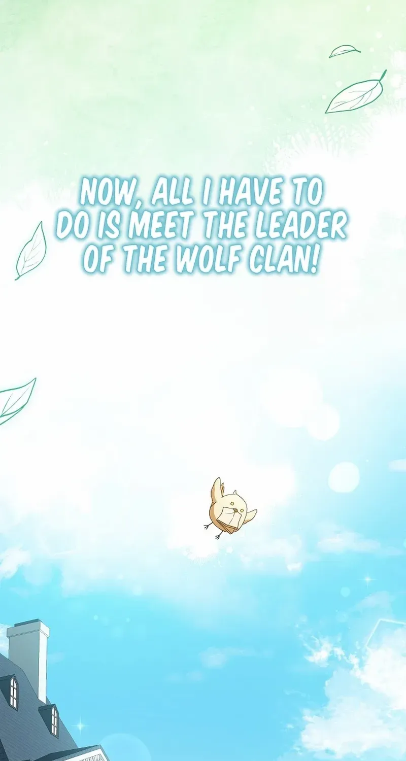 The Beloved New Daughter-in-law Of The Wolf Mansion Chapter 4 page 27 - 