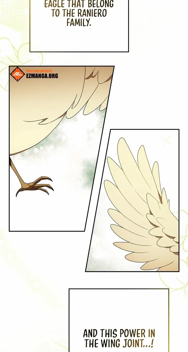 The Beloved New Daughter-in-law Of The Wolf Mansion Chapter 4 page 4 - 