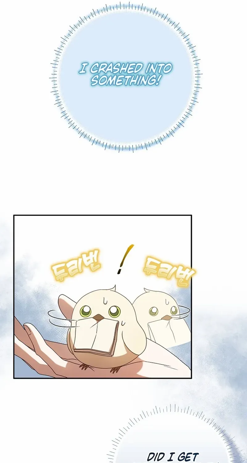 The Beloved New Daughter-in-law Of The Wolf Mansion Chapter 4 page 37 - 