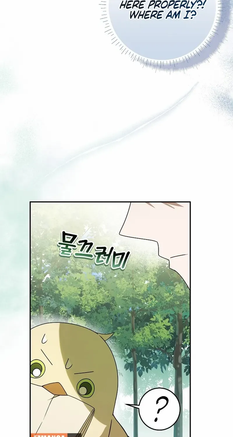 The Beloved New Daughter-in-law Of The Wolf Mansion Chapter 4 page 38 - 