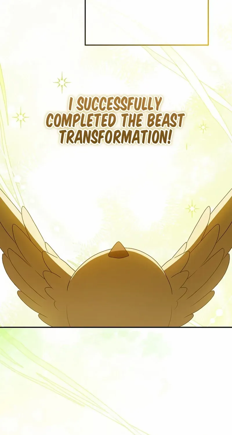 The Beloved New Daughter-in-law Of The Wolf Mansion Chapter 4 page 5 - 