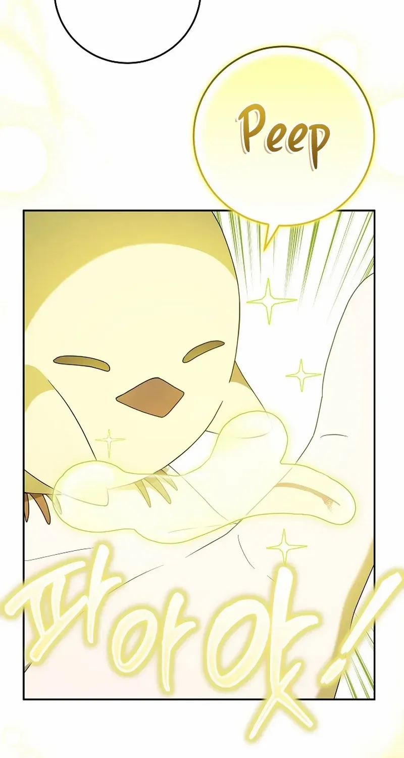 The Beloved New Daughter-in-law Of The Wolf Mansion Chapter 4 page 65 - 