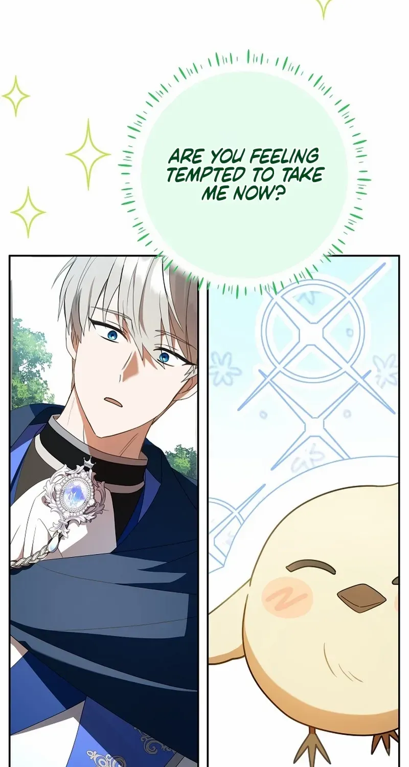 The Beloved New Daughter-in-law Of The Wolf Mansion Chapter 4 page 68 - 